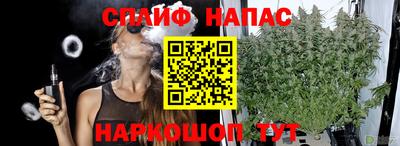 индика Балашиха