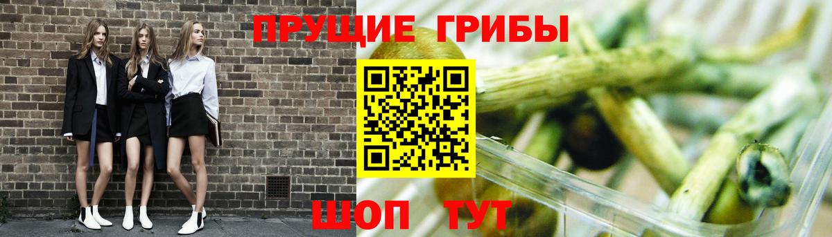 Ефремов  Галлюциногенные грибы мухоморы  Вход с VPN 